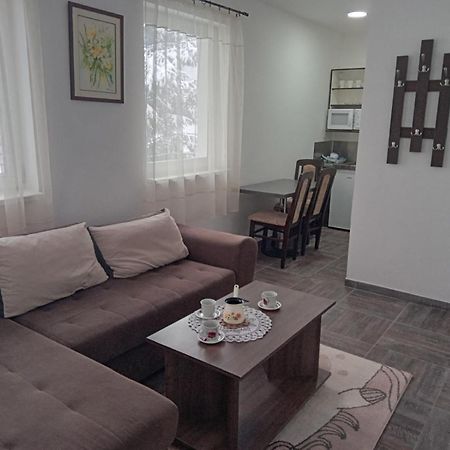 Vila Mozart - Apartments & Studios Kopaonik Exterior photo